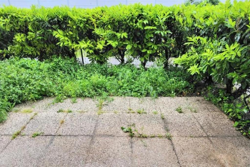 Appartement Cosy Proche Paris Le Bourget Exteriör bild